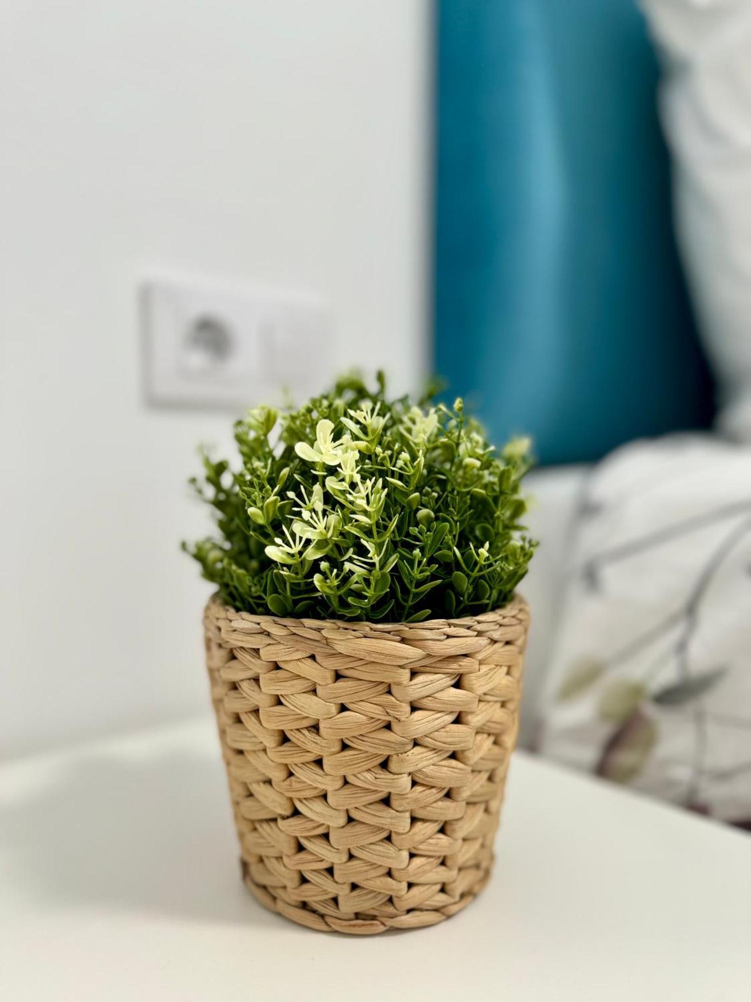 Apartamento Centrico ヴィーゴ エクステリア 写真